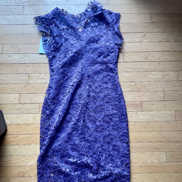 Brand New Beautiful Enfocus Studio Lavender Lace Dress - Picture 4 of 12